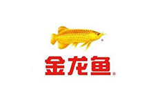 Golden dragon fish