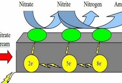 Principle of nitrification and denitrification
